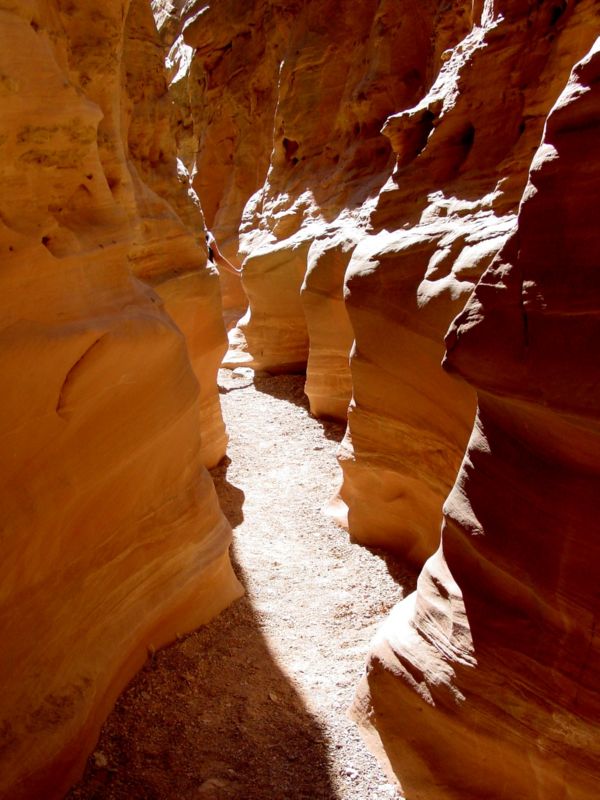 04160302LittleWildHorse (1076)